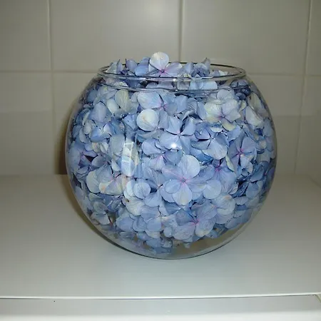 T3 In Downtown With Sea View Apartament