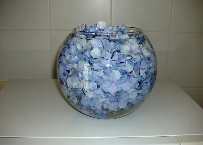 T3 In Downtown With Sea View Apartment